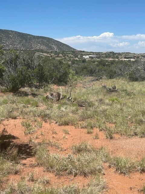 278 Star Meadow Rd, Placitas, NM 87043 - photo 4