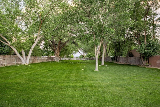 8912 Rio Grande Blvd NW, Albuquerque, NM 87114 - photo 51