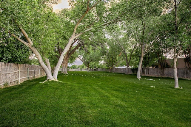 8912 Rio Grande Blvd NW, Albuquerque, NM 87114 - photo 52