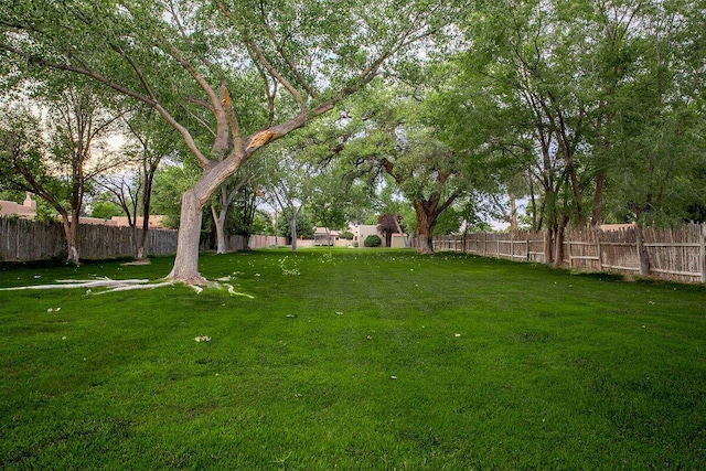8912 Rio Grande Blvd NW, Albuquerque, NM 87114 - photo 53