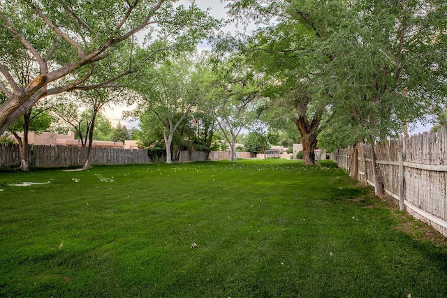 8912 Rio Grande Blvd NW, Albuquerque, NM 87114 - photo 54