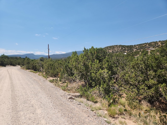 63 Camino Del Oso, Placitas, NM 87043 - photo 2