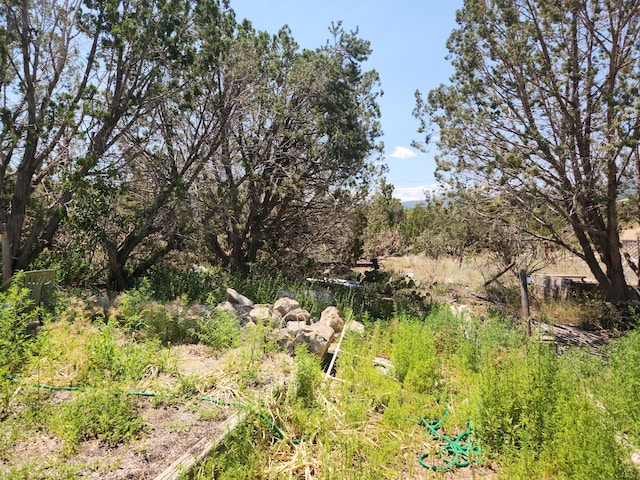 63 Camino Del Oso, Placitas, NM 87043 - photo 3