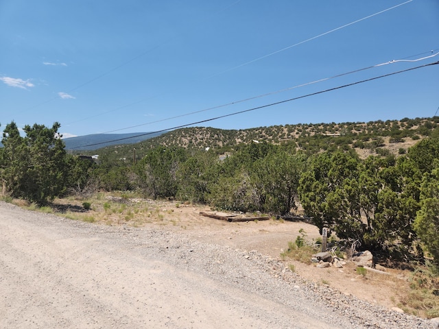 63 Camino Del Oso, Placitas, NM 87043 - photo 6
