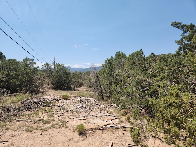 63 Camino Del Oso, Placitas, NM 87043 - photo 8