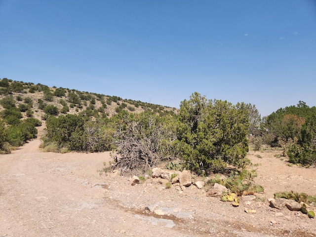 63 Camino Del Oso, Placitas, NM 87043 - photo 11