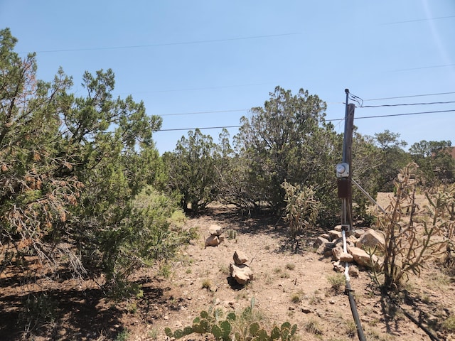 63 Camino Del Oso, Placitas, NM 87043 - photo 13