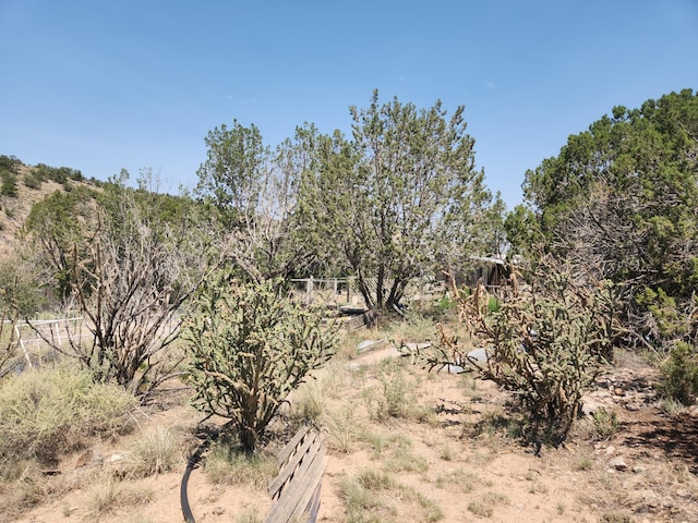 63 Camino Del Oso, Placitas, NM 87043 - photo 14