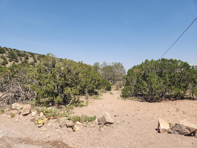 63 Camino Del Oso, Placitas, NM 87043 - photo 15