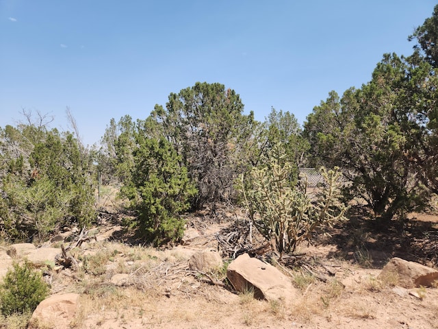 63 Camino Del Oso, Placitas, NM 87043 - photo 16