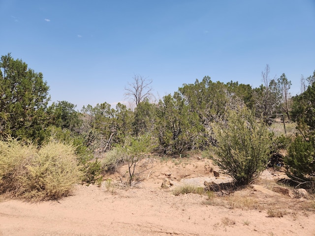 63 Camino Del Oso, Placitas, NM 87043 - photo 17