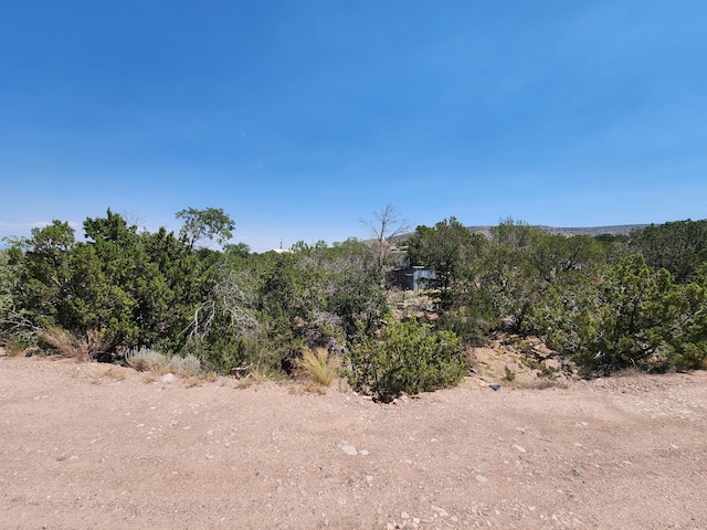 63 Camino Del Oso, Placitas, NM 87043 - photo 18