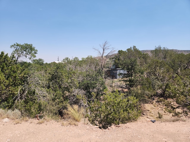 63 Camino Del Oso, Placitas, NM 87043 - photo 19