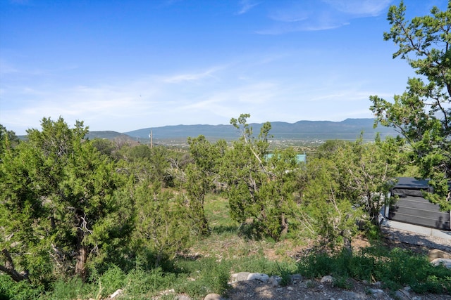 1 Pinon Ct, Sandia Park, NM 87047 - photo 23