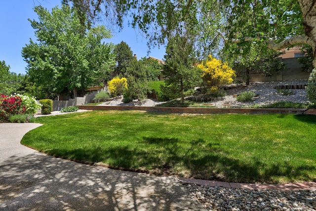 1012 Daskalos Dr NE, Albuquerque, NM 87123 - photo 7