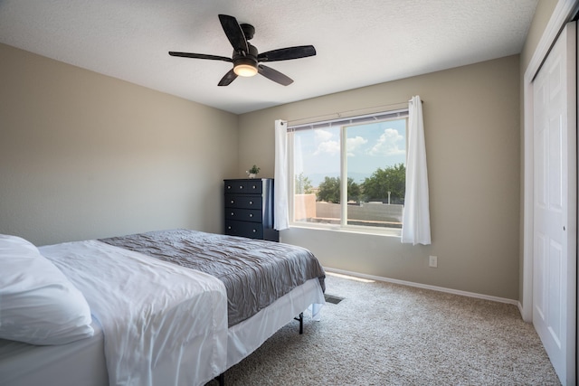 4908 Black Dr NW, Albuquerque, NM 87120 - photo 15