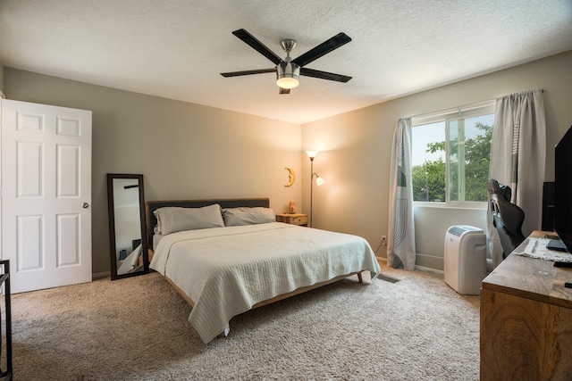 4908 Black Dr NW, Albuquerque, NM 87120 - photo 12