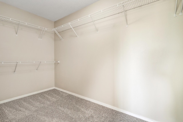 10448 Toscana St NW, Albuquerque, NM 87114 - photo 29
