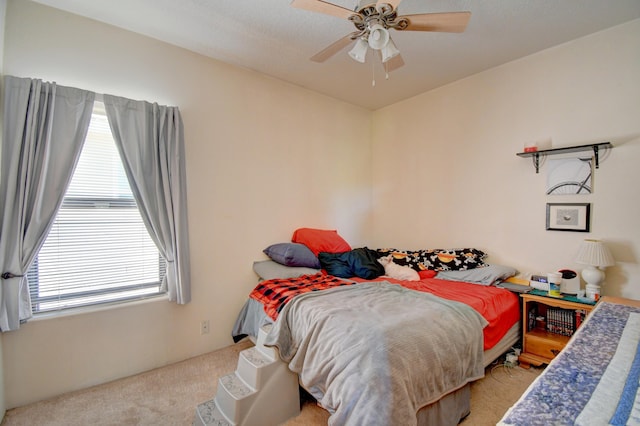 11005 Cascada Azul Pl NW, Albuquerque, NM 87114 - photo 17