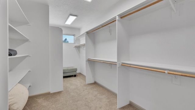 3212 Calle De Estella NW, Albuquerque, NM 87104 - photo 52