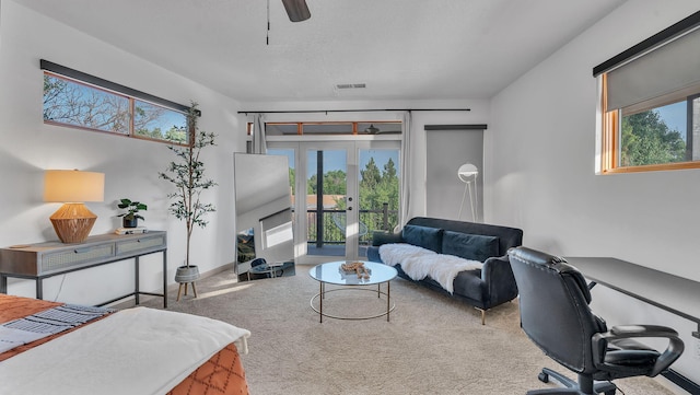 3212 Calle De Estella NW, Albuquerque, NM 87104 - photo 40