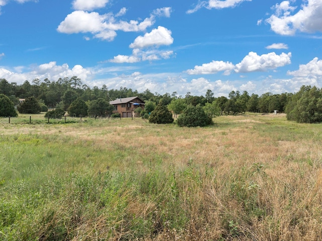 76 Raven Rd, Tijeras, NM 87059 - photo 37
