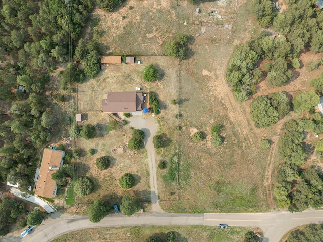 76 Raven Rd, Tijeras, NM 87059 - photo 35