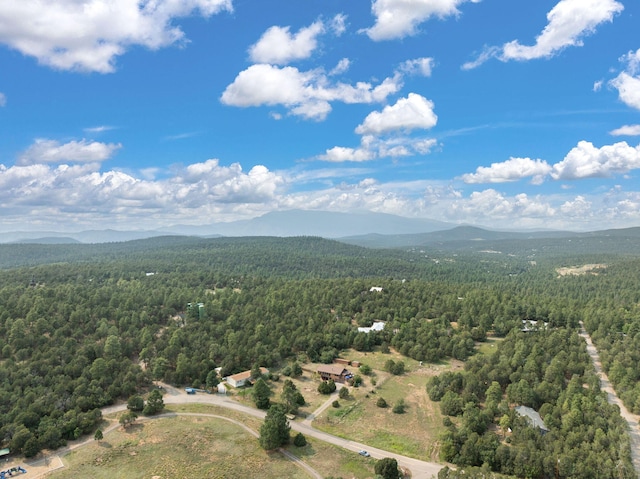 76 Raven Rd, Tijeras, NM 87059 - photo 34