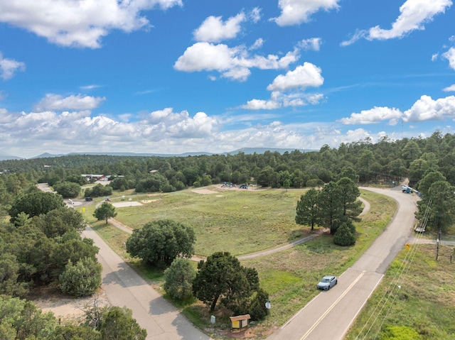 76 Raven Rd, Tijeras, NM 87059 - photo 32