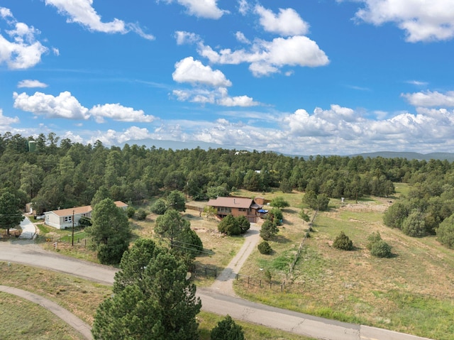 76 Raven Rd, Tijeras, NM 87059 - photo 39