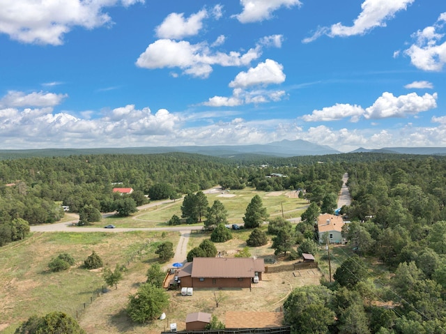 76 Raven Rd, Tijeras, NM 87059 - photo 38