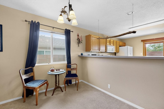 10704 Stone Hollow Pl NW, Albuquerque, NM 87114 - photo 5