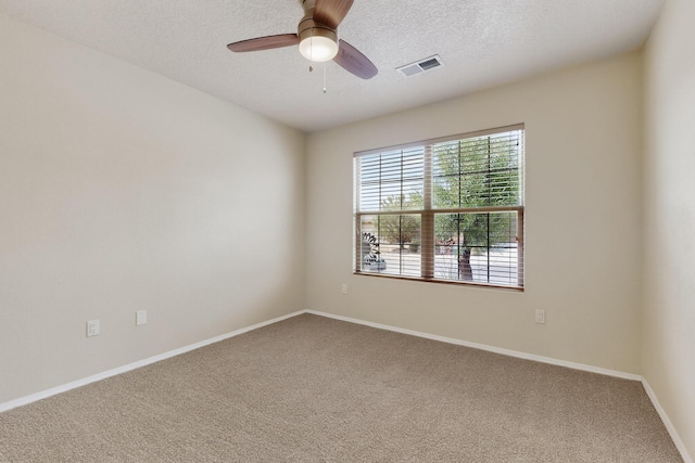6236 Nueva Espana Rd NW, Albuquerque, NM 87114 - photo 26