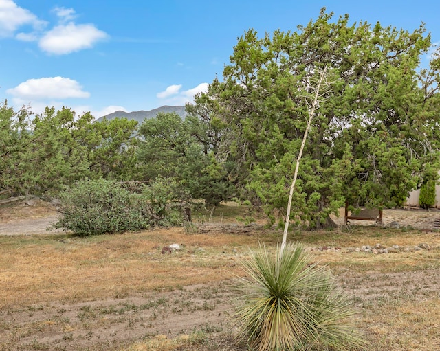 649 Frost Rd, Edgewood, NM 87015 - photo 22