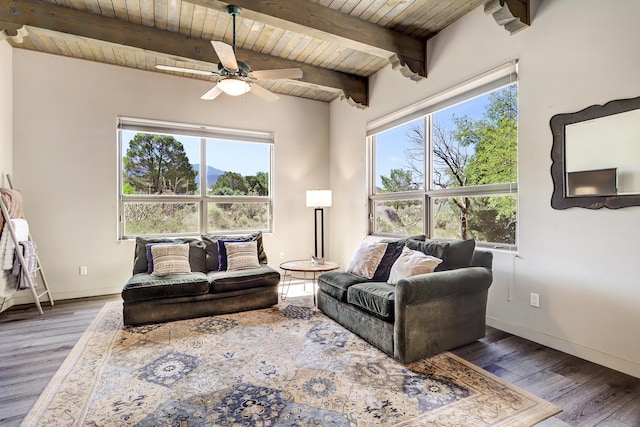 1147 Marigold Dr NE, Albuquerque, NM 87122 - photo 2