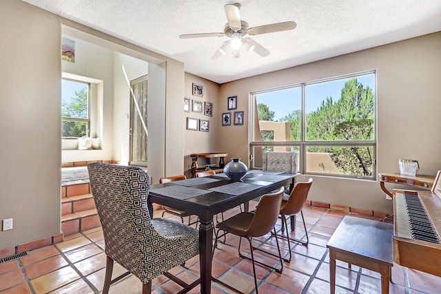 1147 Marigold Dr NE, Albuquerque, NM 87122 - photo 19