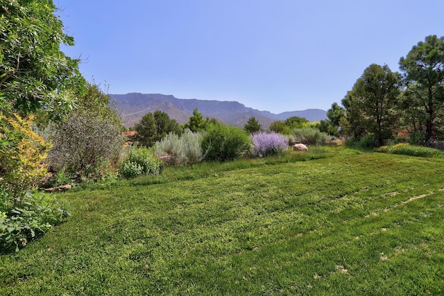 1147 Marigold Dr NE, Albuquerque, NM 87122 - photo 40