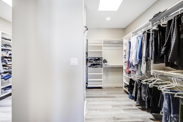 1147 Marigold Dr NE, Albuquerque, NM 87122 - photo 29