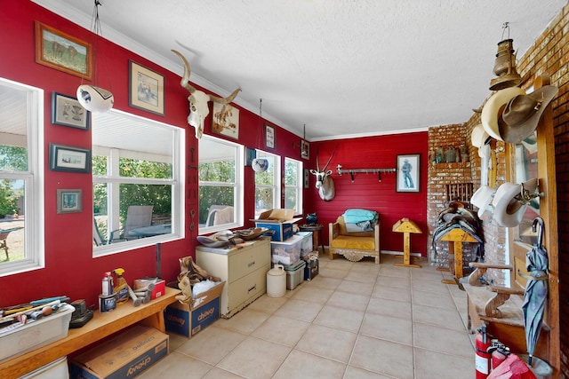 48 W Ice Plant Rd, Estancia, NM 87016 - photo 7