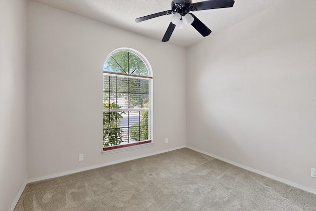 11404 Malaguena Ln NE, Albuquerque, NM 87111 - photo 27