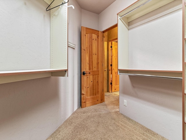 1009 C De Baca Ln, Bernalillo, NM 87004 - photo 50