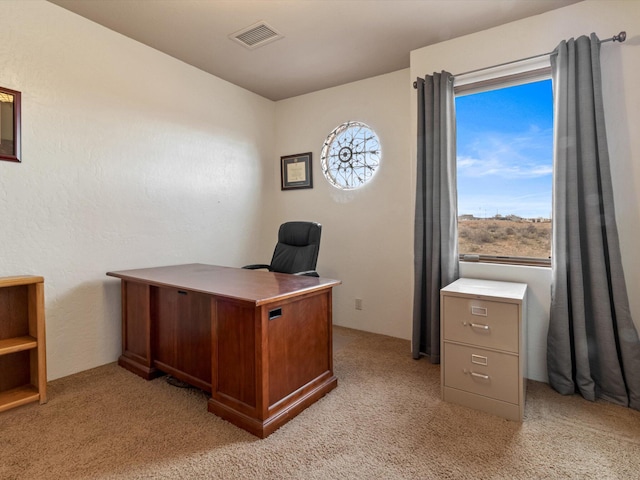 1009 C De Baca Ln, Bernalillo, NM 87004 - photo 43
