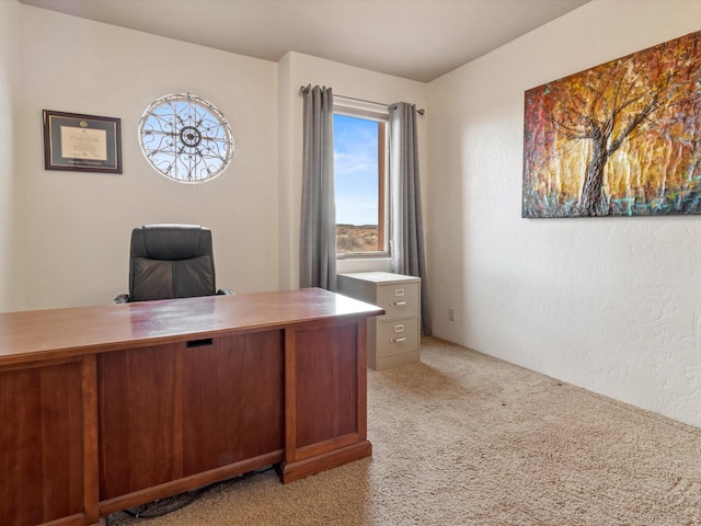 1009 C De Baca Ln, Bernalillo, NM 87004 - photo 42