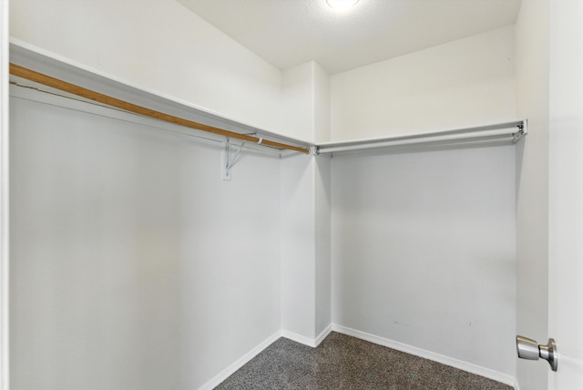 6805 Schist Ave NE, Albuquerque, NM 87113 - photo 33