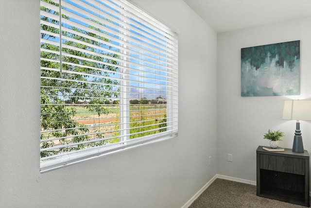 6805 Schist Ave NE, Albuquerque, NM 87113 - photo 29