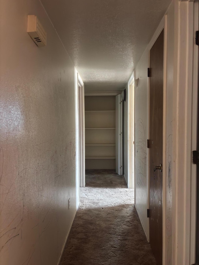 1208 Franciscan Ave, Grants, NM 87020 - photo 13