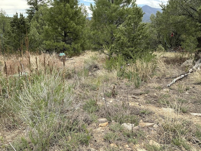 2318B Old Red River Rd, Questa, NM 87556 - photo 8