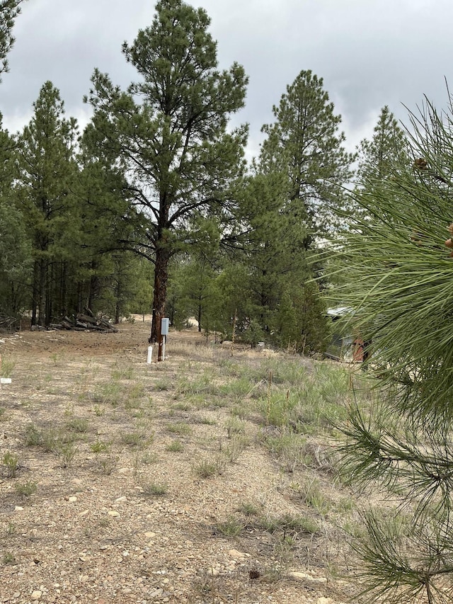 2318B Old Red River Rd, Questa, NM 87556 - photo 5