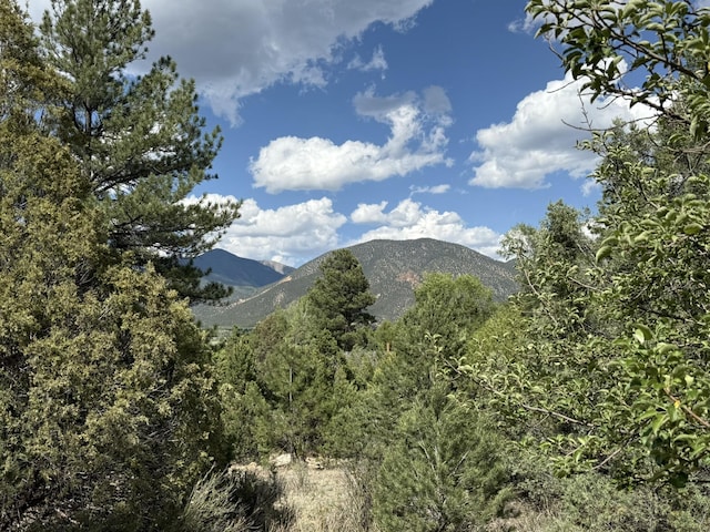 2318B Old Red River Rd, Questa, NM 87556 - photo 1