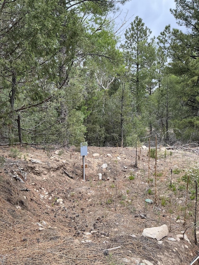 2318B Old Red River Rd, Questa, NM 87556 - photo 14